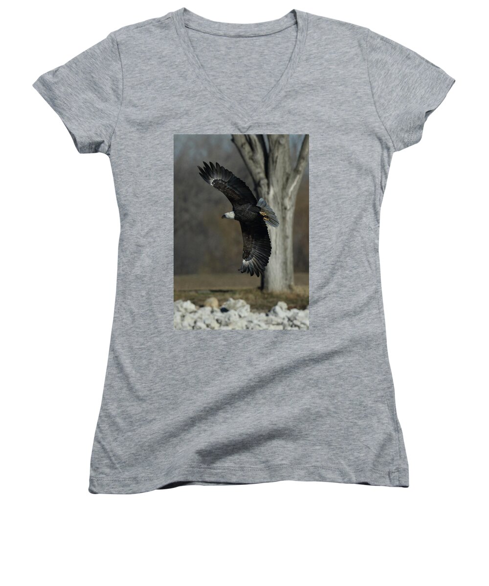 Eagle Women's V-Neck featuring the photograph Eagle Soaring by Tree by Coby Cooper