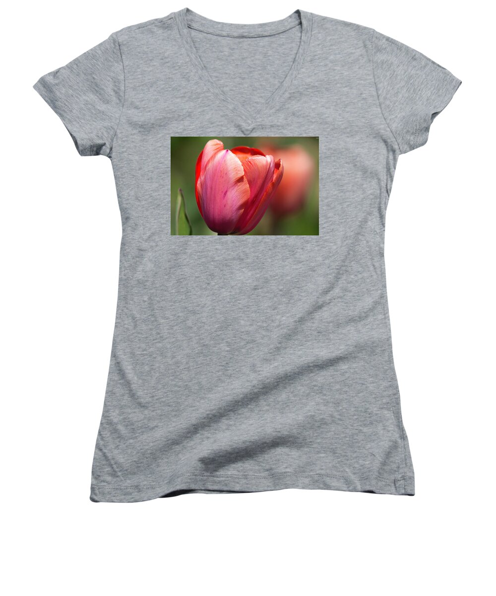 Tulip Women's V-Neck featuring the photograph Early riser by Edward Kreis