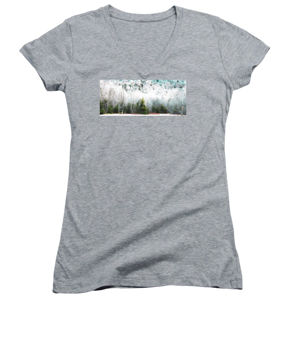 Landscape Women's V-Neck featuring the photograph Early Winter at Woodcraft Camp by David Patterson
