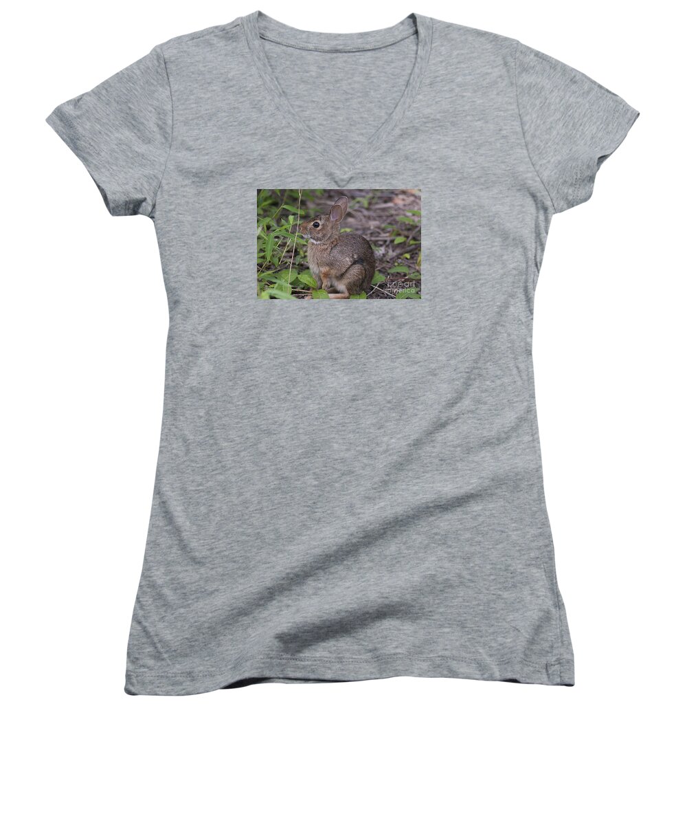 Bunny Women's V-Neck featuring the photograph Eastern Cottontail 20120624_11a by Tina Hopkins