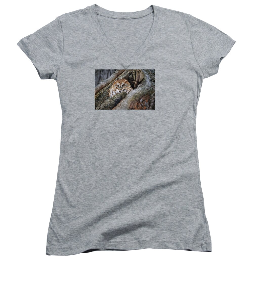 Gary Hall Women's V-Neck featuring the photograph Eastern Screech Owl 2 by Gary Hall