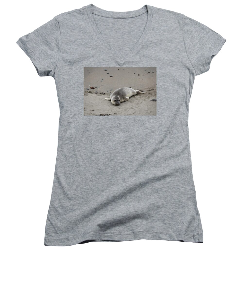 Elephant Seal Women's V-Neck featuring the photograph Elephant Seal - 2 by Christy Pooschke