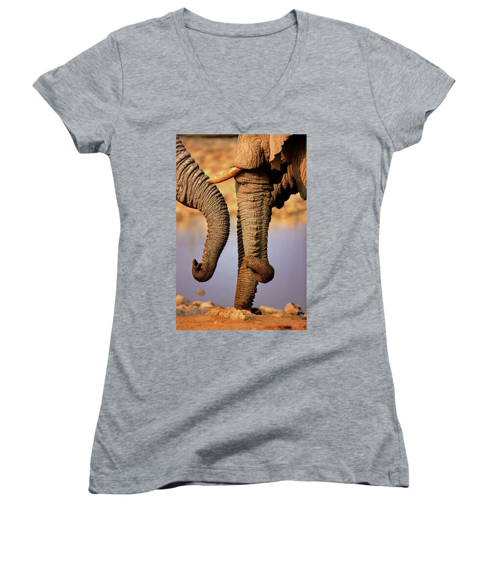Wild Women's V-Neck featuring the photograph Elephant trunks interacting close-up by Johan Swanepoel