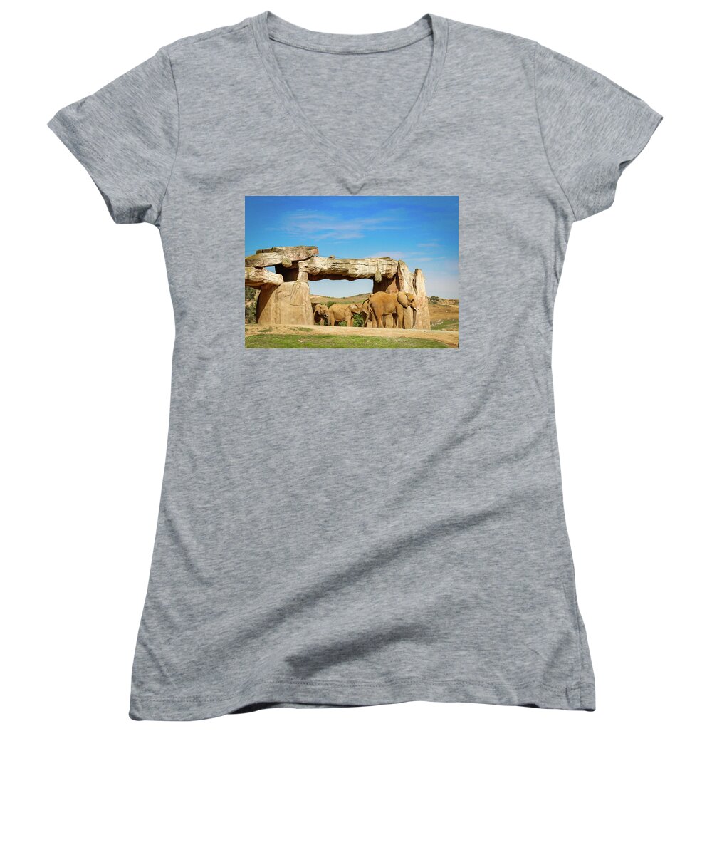 Elephants Women's V-Neck featuring the photograph Elephants by Alison Frank