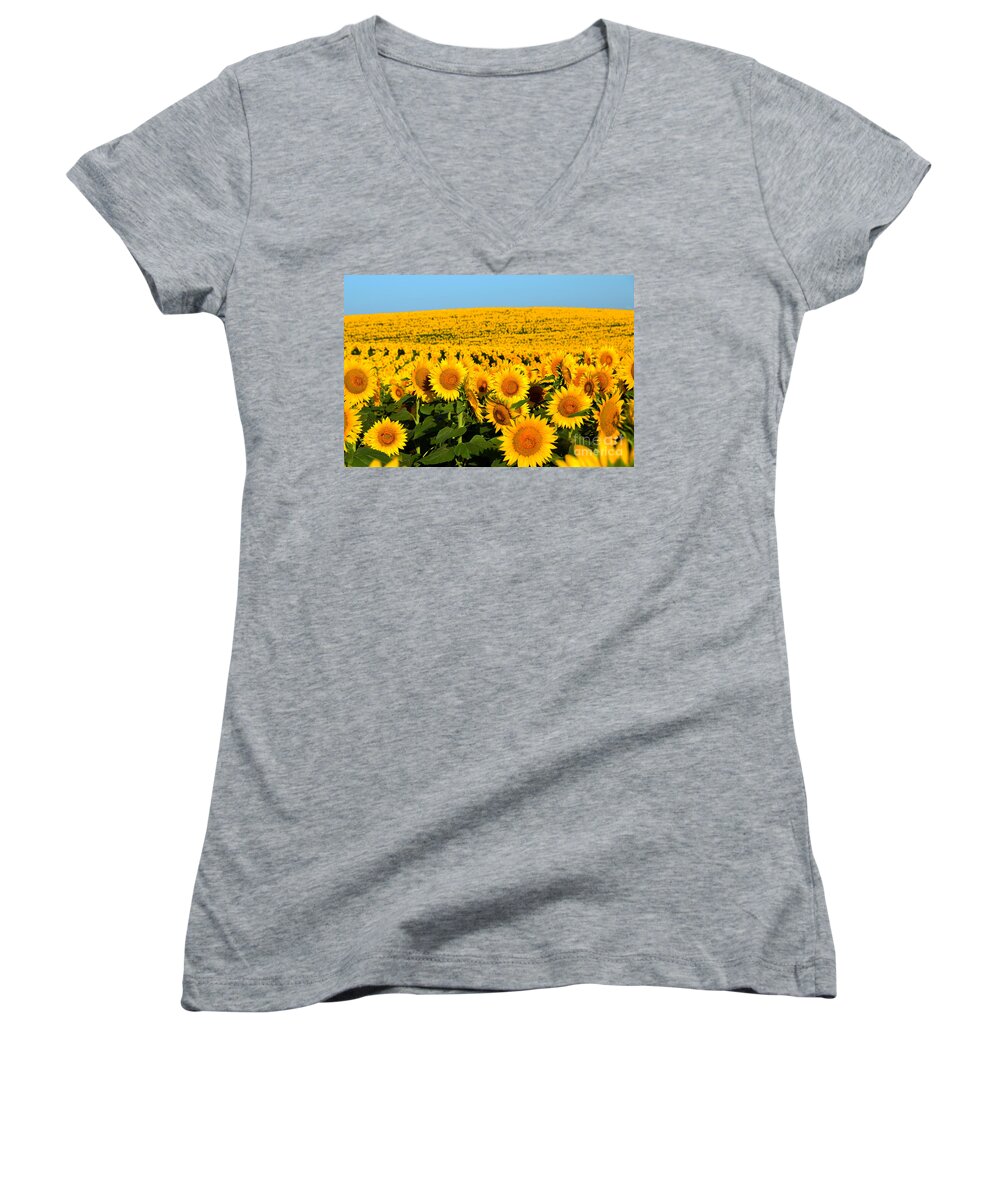 Helianthus Annuus Women's V-Neck featuring the photograph Endless Sunflowers by Catherine Sherman