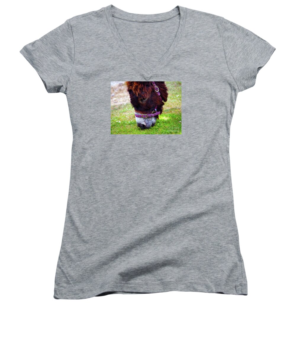 Fine Art Photography Women's V-Neck featuring the photograph Enjoying the Sweet Irish Grass by Patricia Griffin Brett
