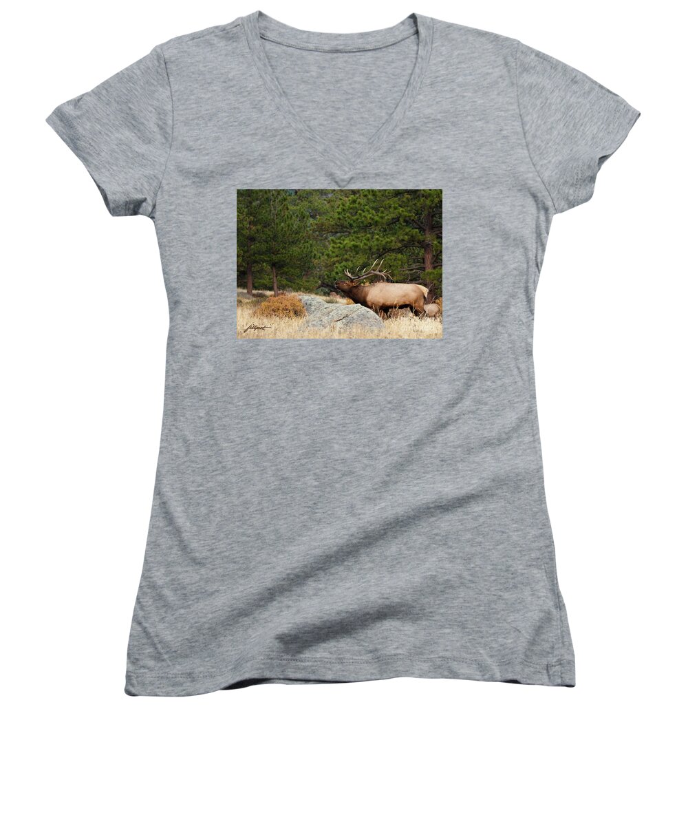 Rocky Mountain National Park Women's V-Neck featuring the photograph Evening Song by Bon and Jim Fillpot