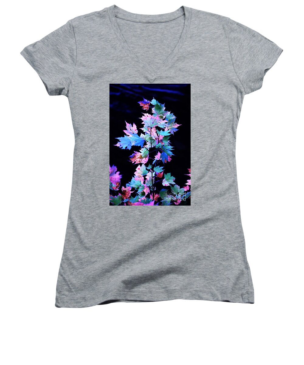 Autumn Women's V-Neck featuring the photograph Fall Leaves1 by Merle Grenz