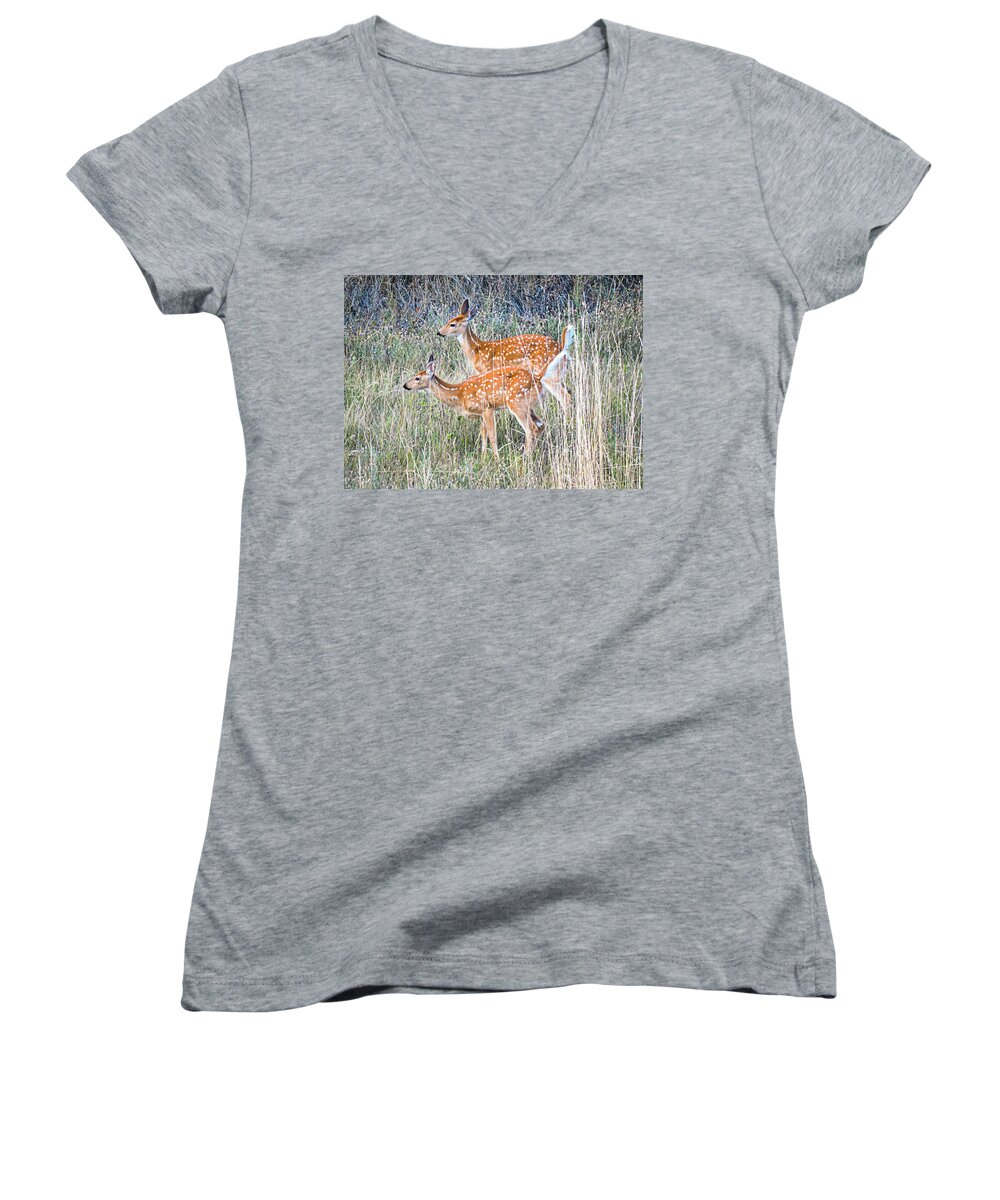 Deer Fawns Women's V-Neck featuring the photograph Fawns at Bigfork by L J Oakes