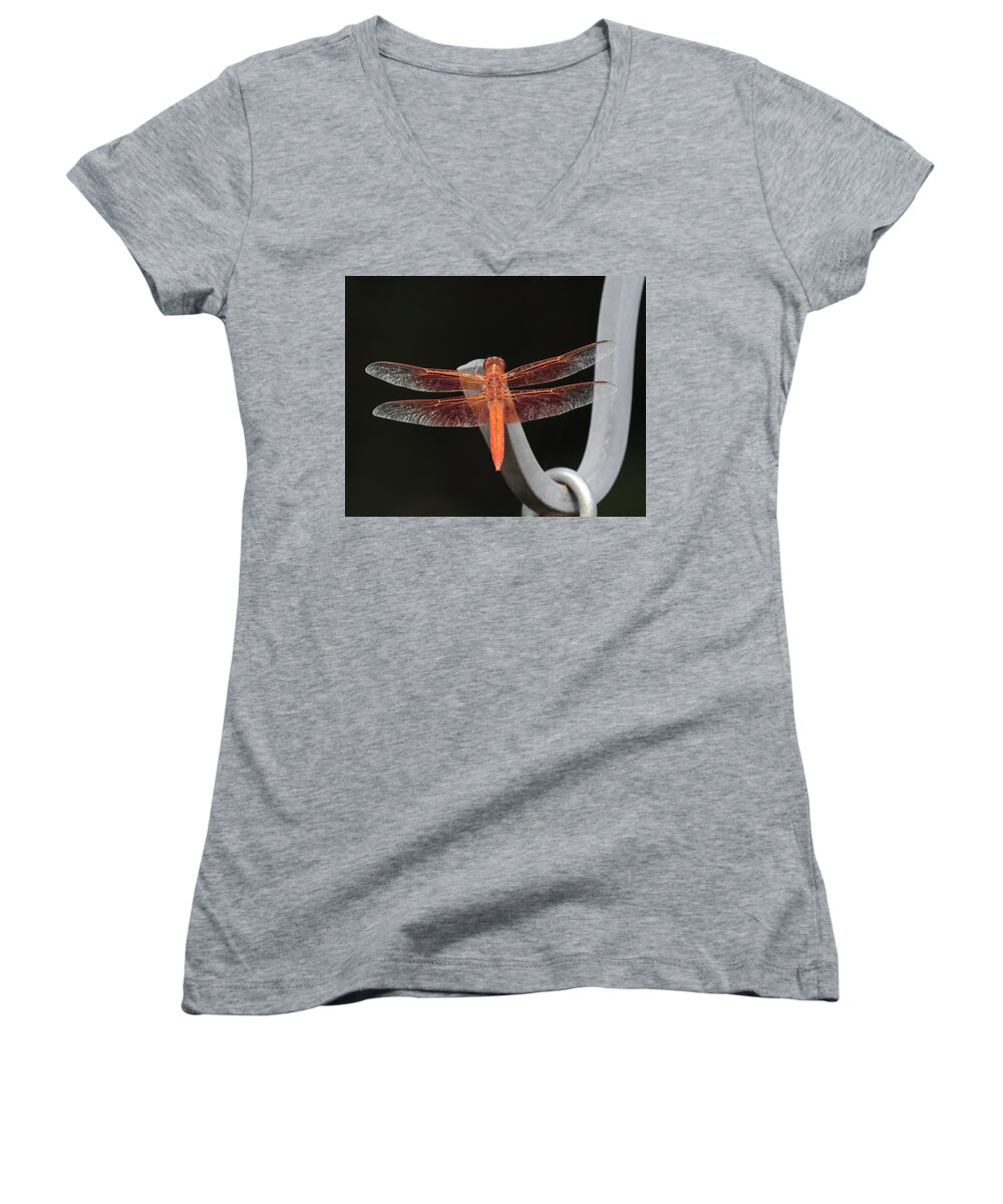 Flame Skimmer Women's V-Neck featuring the photograph Flame Skimmer by John Moyer