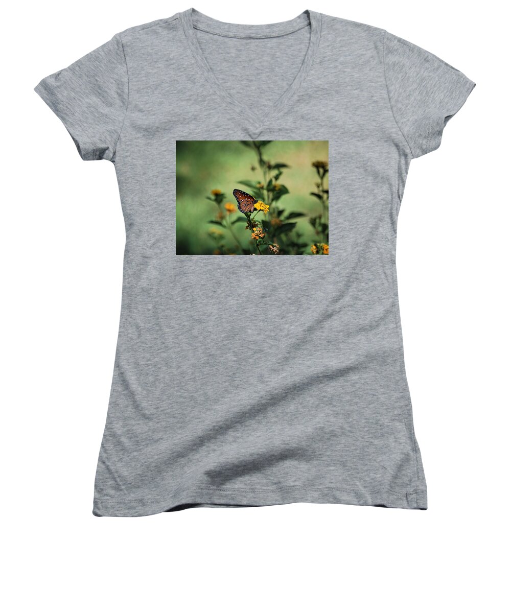 Butterfly Women's V-Neck featuring the photograph Fleeting by Sonja Jones