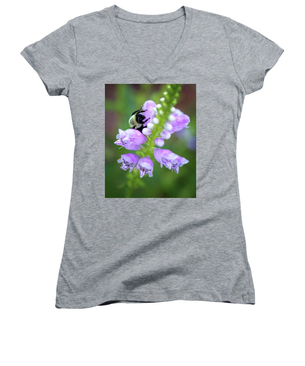 Beauty Women's V-Neck featuring the photograph Flower climbing by Eduard Moldoveanu