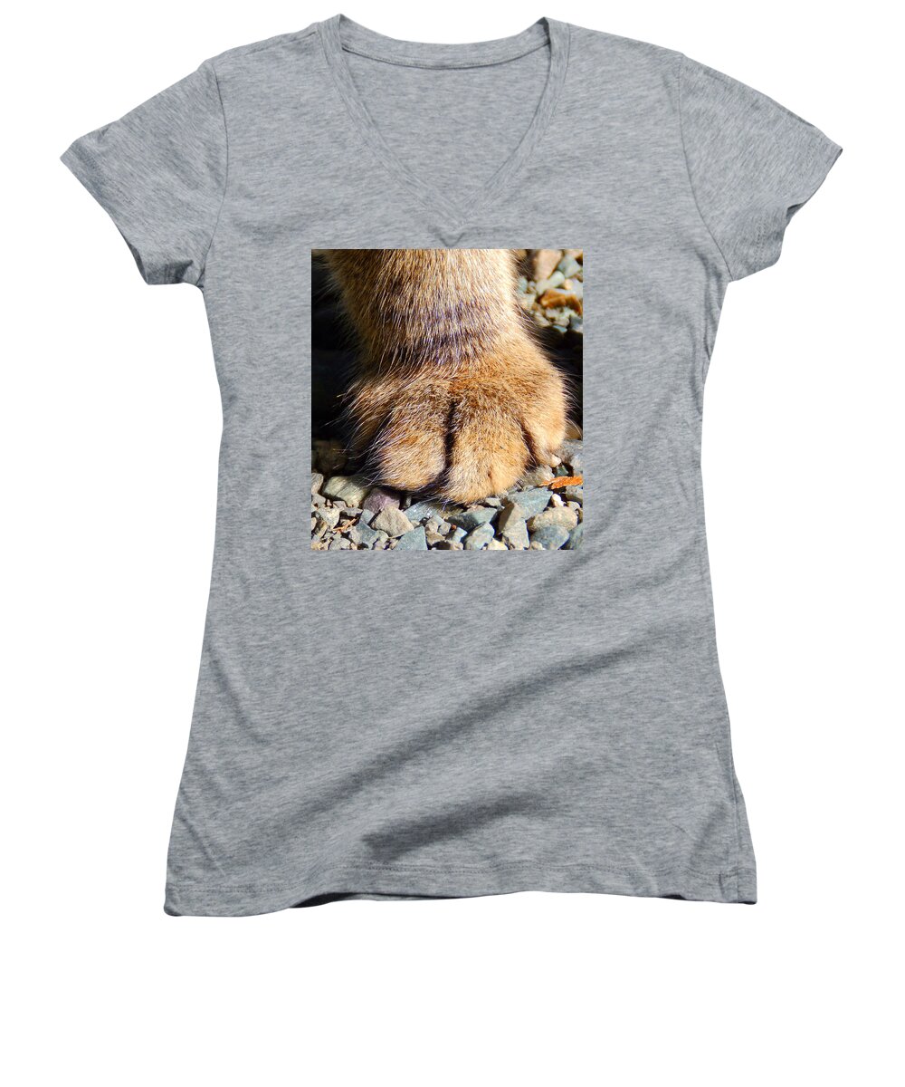 Cat Women's V-Neck featuring the photograph Fluffy by Zinvolle Art