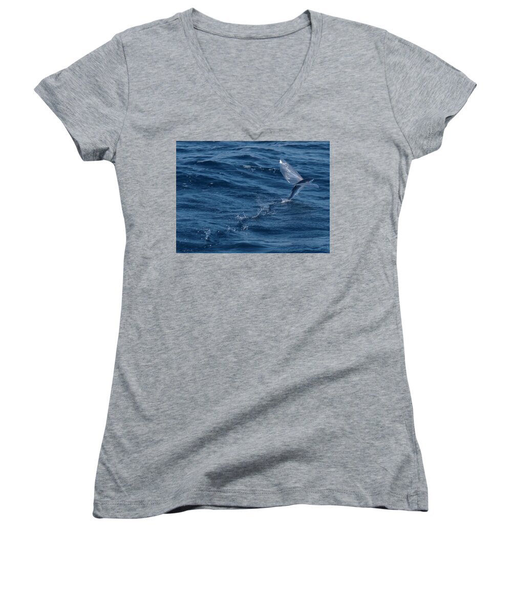 Flying Fish Pacific New Zealand Ocean Blue Water Silver Eco Ecology Women's V-Neck featuring the photograph Flying Fish by Ian Sanders