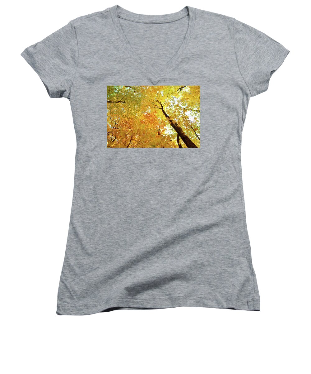 Abstract Women's V-Neck featuring the photograph Forest Fall Yellow by Lyle Crump