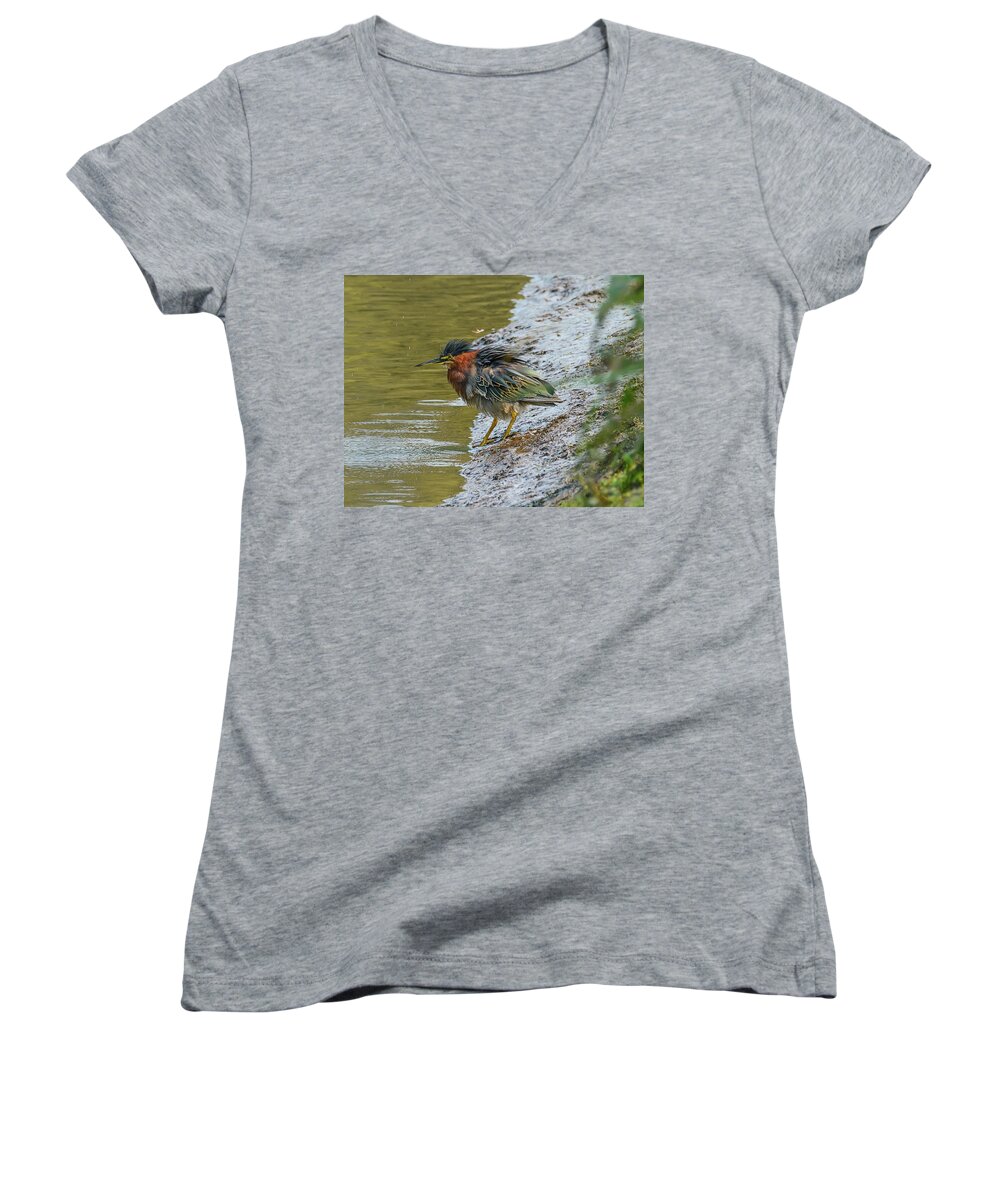 Heron Women's V-Neck featuring the photograph Frenzied Green Heron by Jerry Cahill