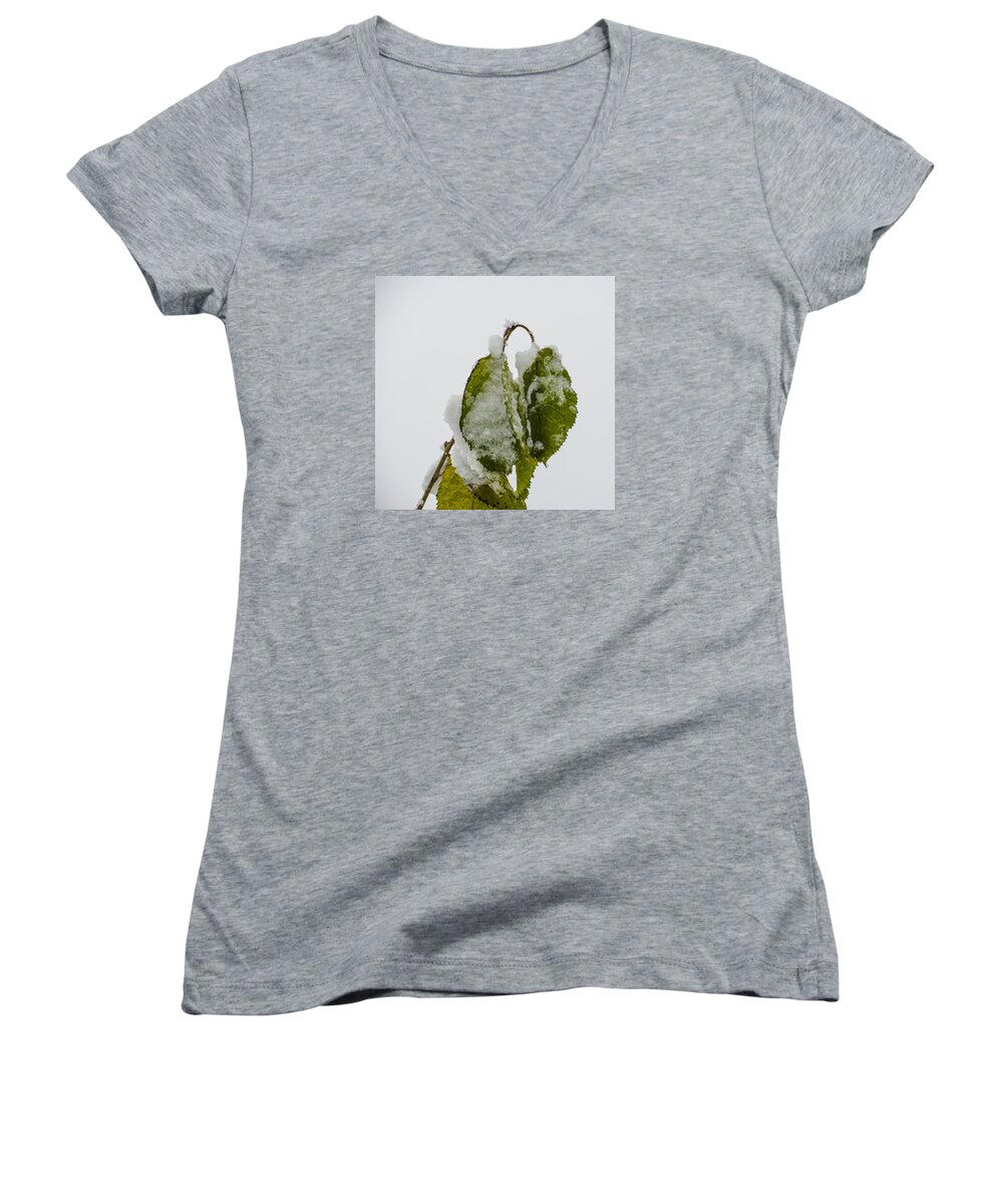 Snow Women's V-Neck featuring the photograph Frosty Green Leaves by Deborah Smolinske