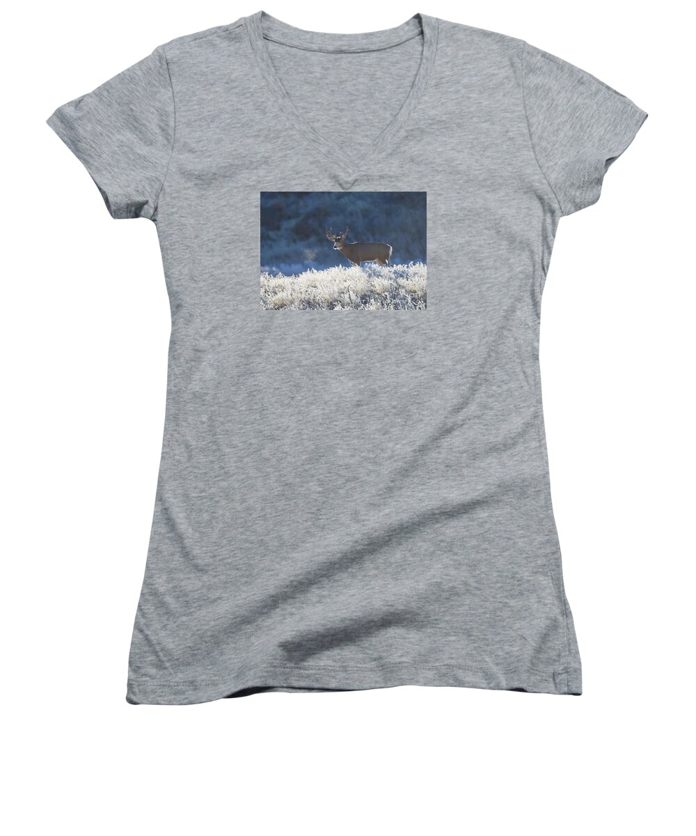 Deer Women's V-Neck featuring the photograph Frosty Morn by Douglas Kikendall