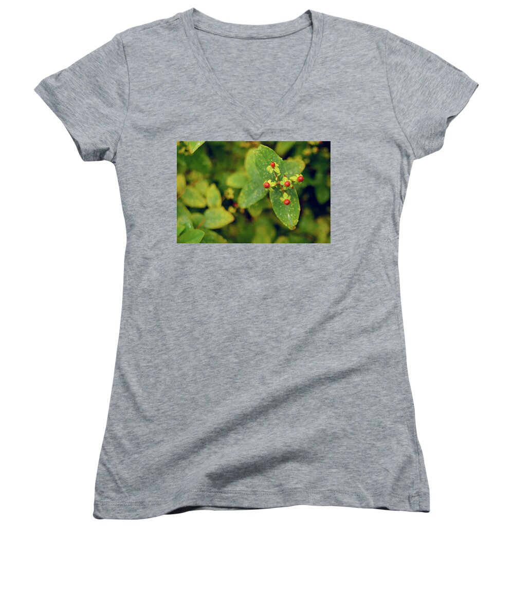 Fall Women's V-Neck featuring the photograph Fall Berry by Gene Garnace