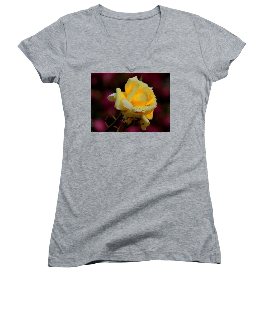 Botanical Women's V-Neck featuring the photograph Glowing Yellow Rose by Richard Thomas