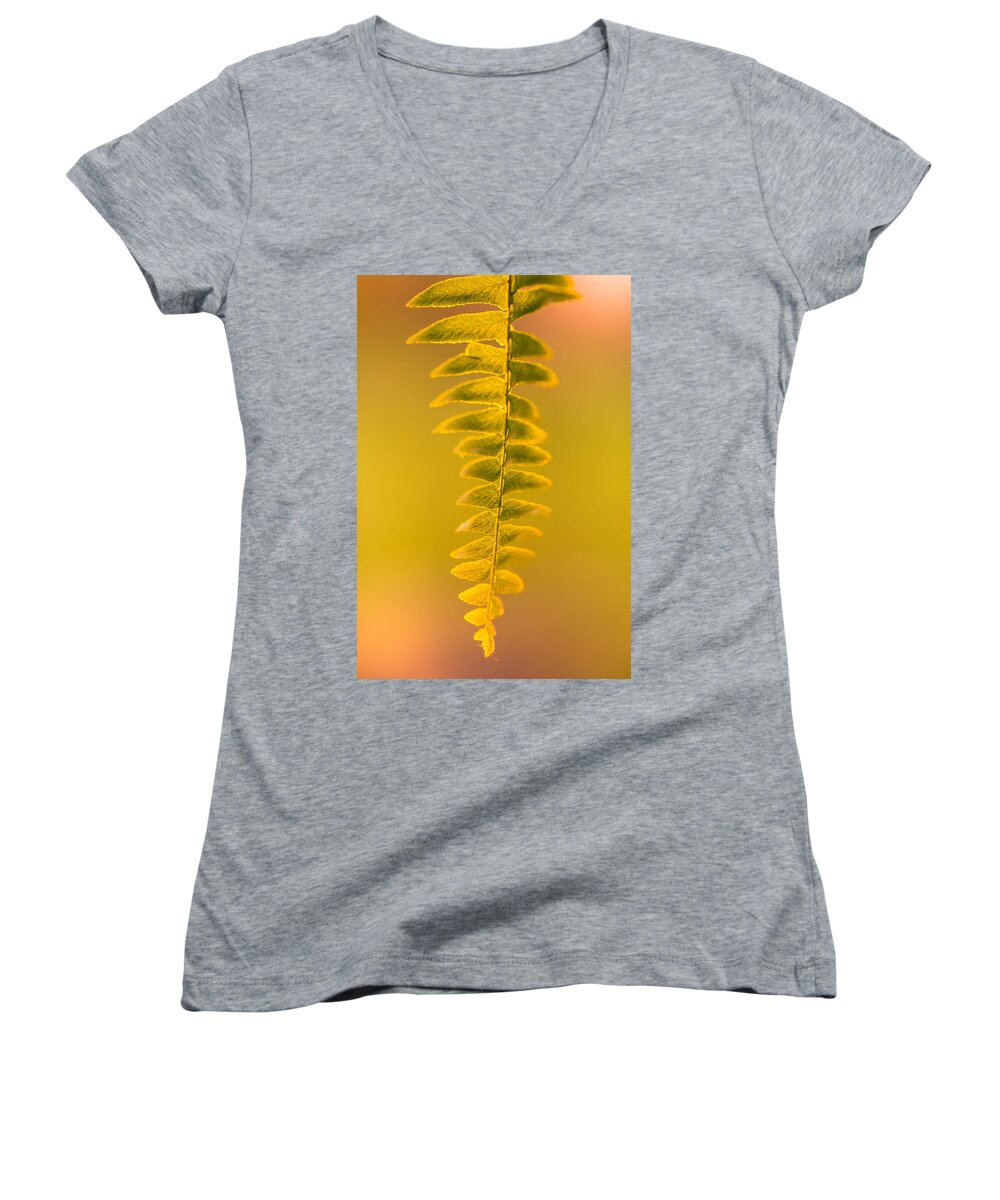 Fern Women's V-Neck featuring the photograph Golden Fern by Shane Holsclaw