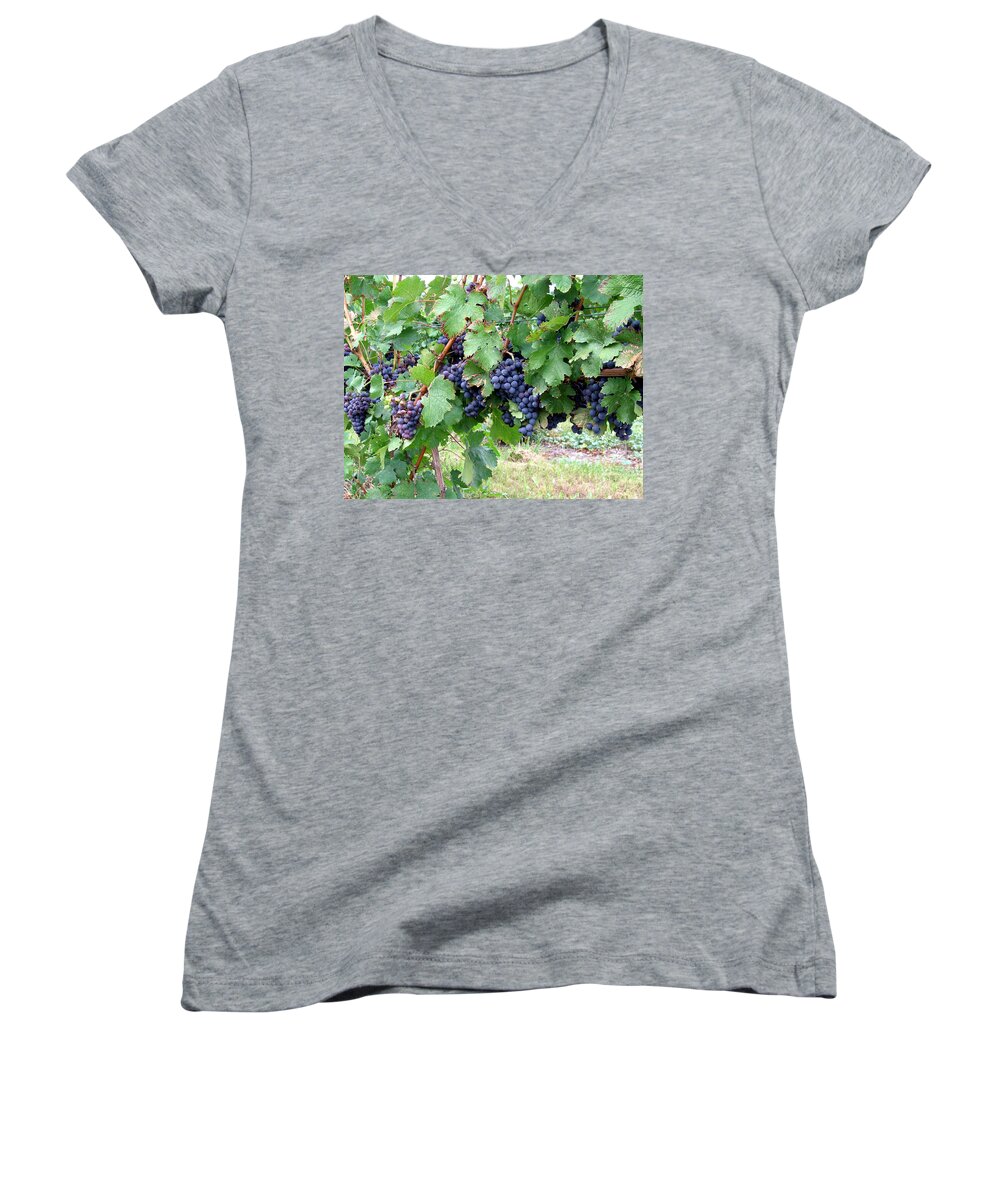 Purple Women's V-Neck featuring the photograph Grapes by Laura Kinker
