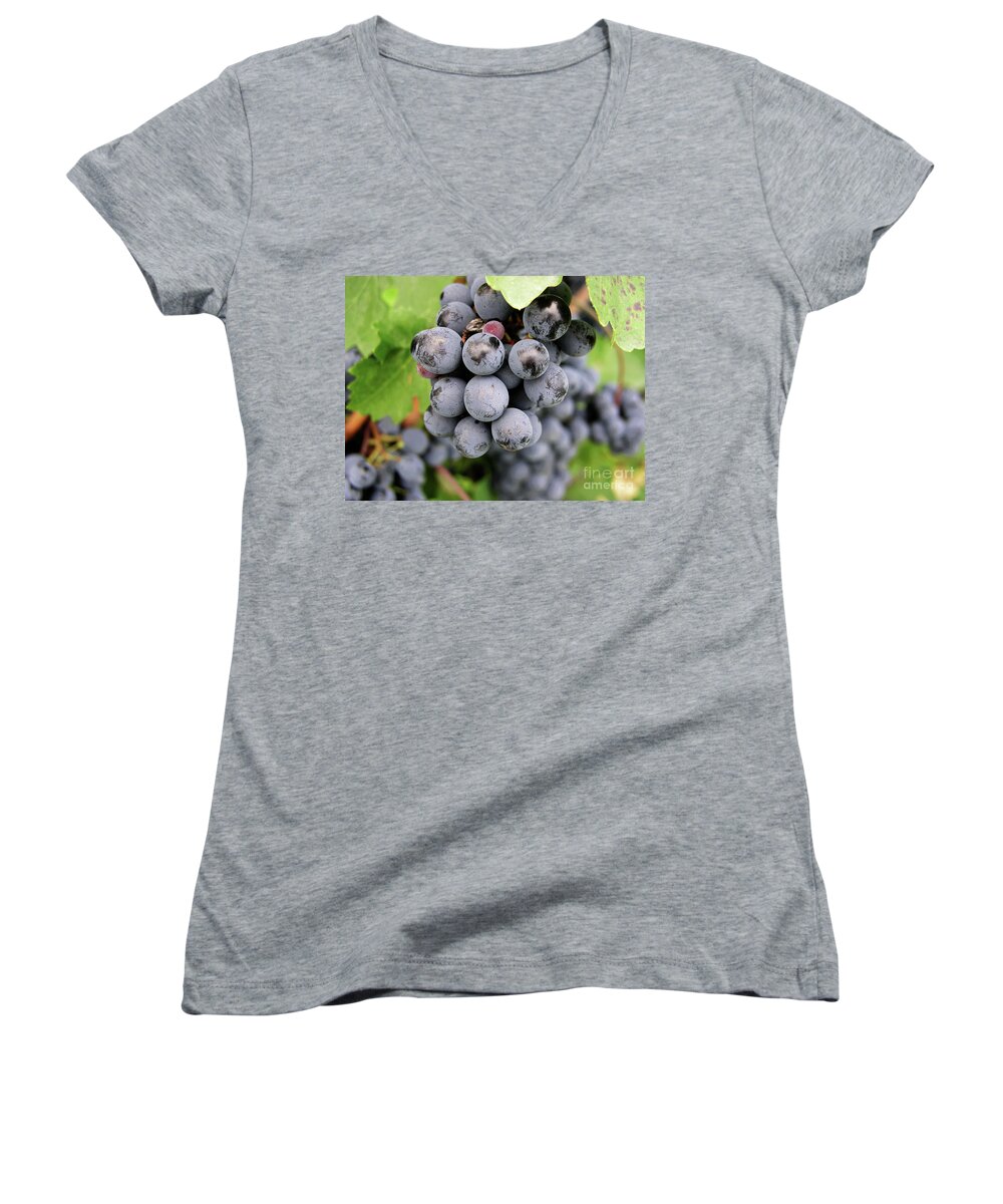 Wine Women's V-Neck featuring the photograph Grapes on the Vine by Mary Capriole