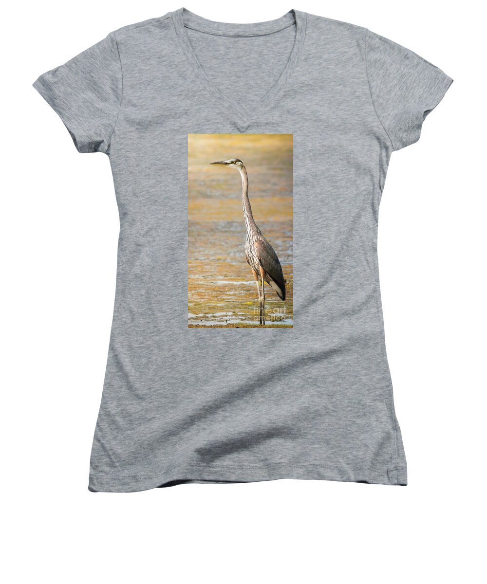 Wildlife Women's V-Neck featuring the photograph Great Blue At The Flats by Robert Frederick