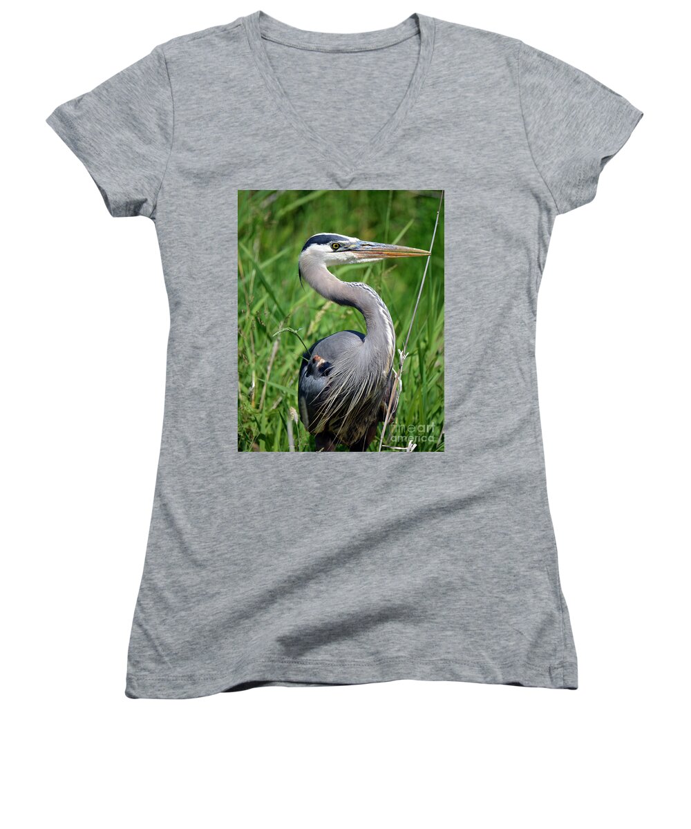 Denise Bruchman Women's V-Neck featuring the photograph Great Blue Heron Close-up by Denise Bruchman