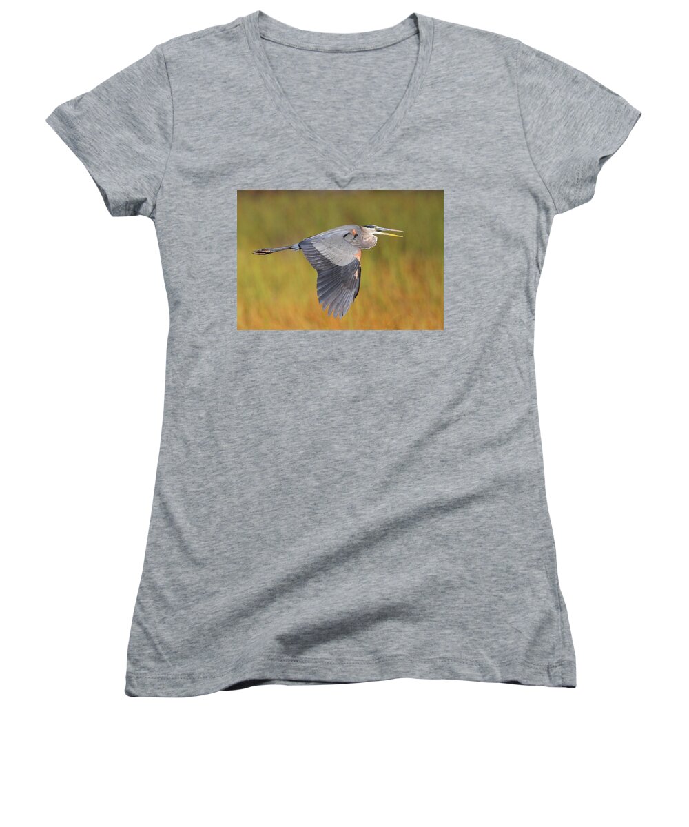 Heron Women's V-Neck featuring the photograph Great Blue Heron In Flight by Bruce J Robinson