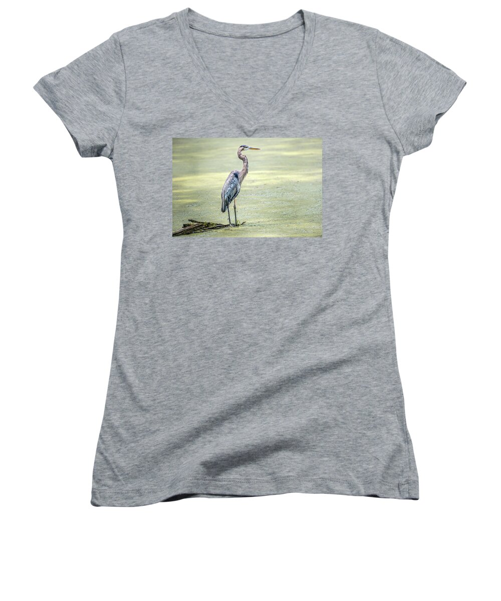 Great Blue Heron Women's V-Neck featuring the photograph Great Blue Heron standing in a marsh by Patrick Wolf