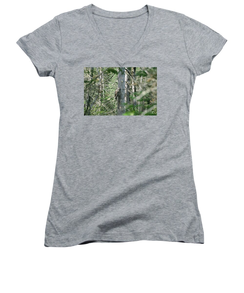 Great Grey Owl Women's V-Neck featuring the photograph Great Grey Owl by David Porteus