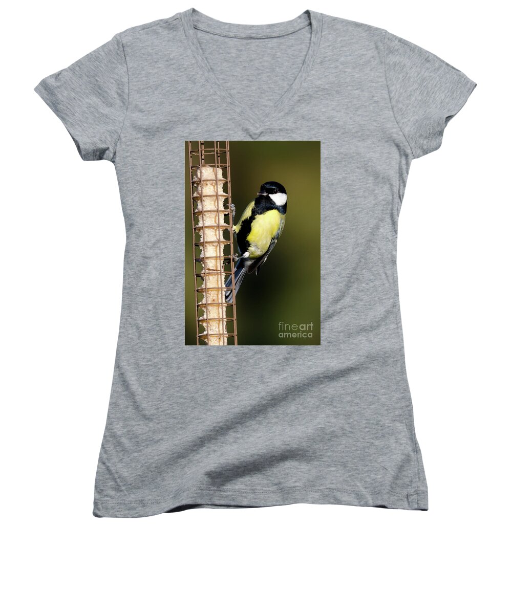 Great Tit Women's V-Neck featuring the photograph Great tit on feeder by Steev Stamford