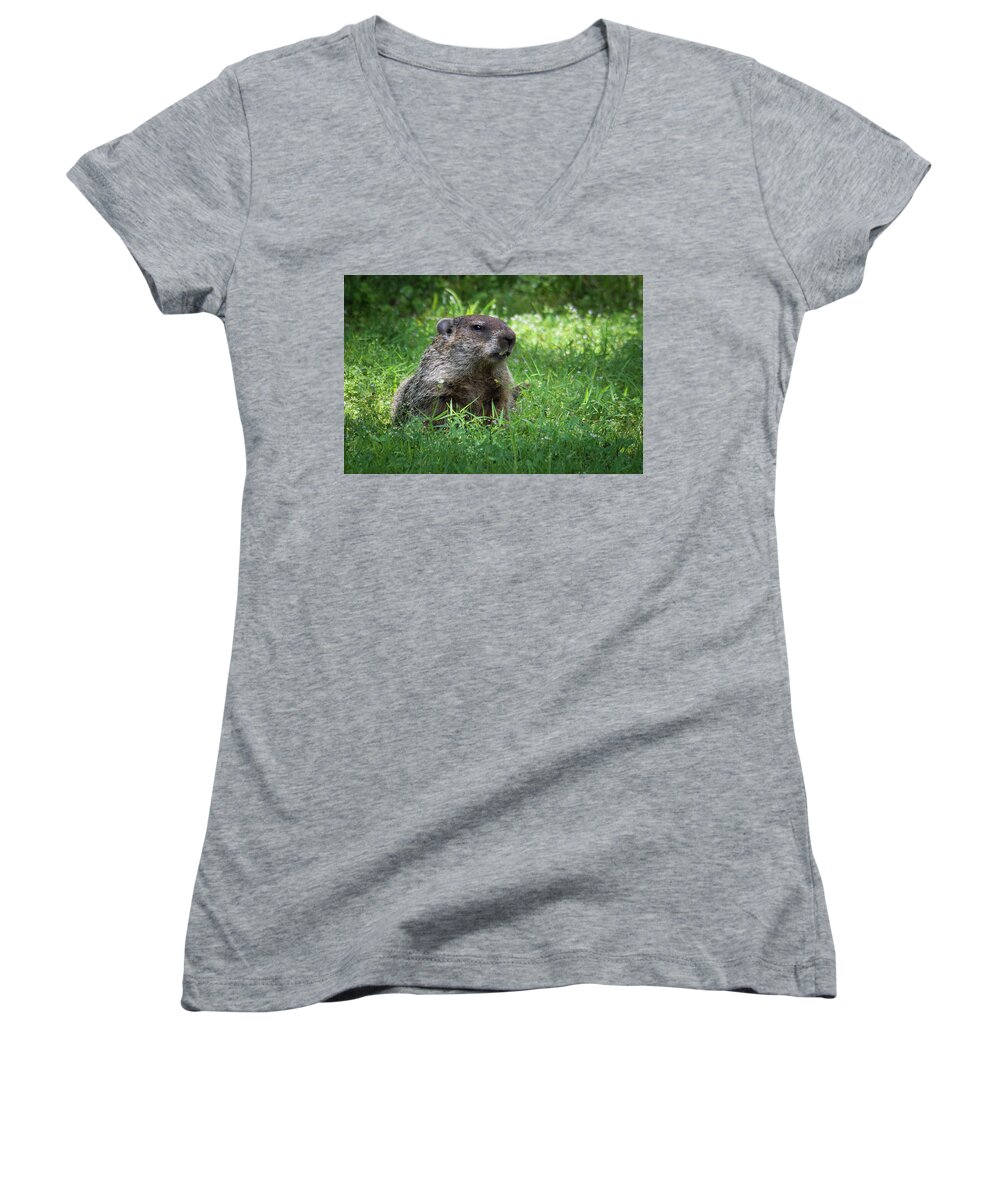 Wildlife Women's V-Neck featuring the photograph Groundhog Posing by John Benedict