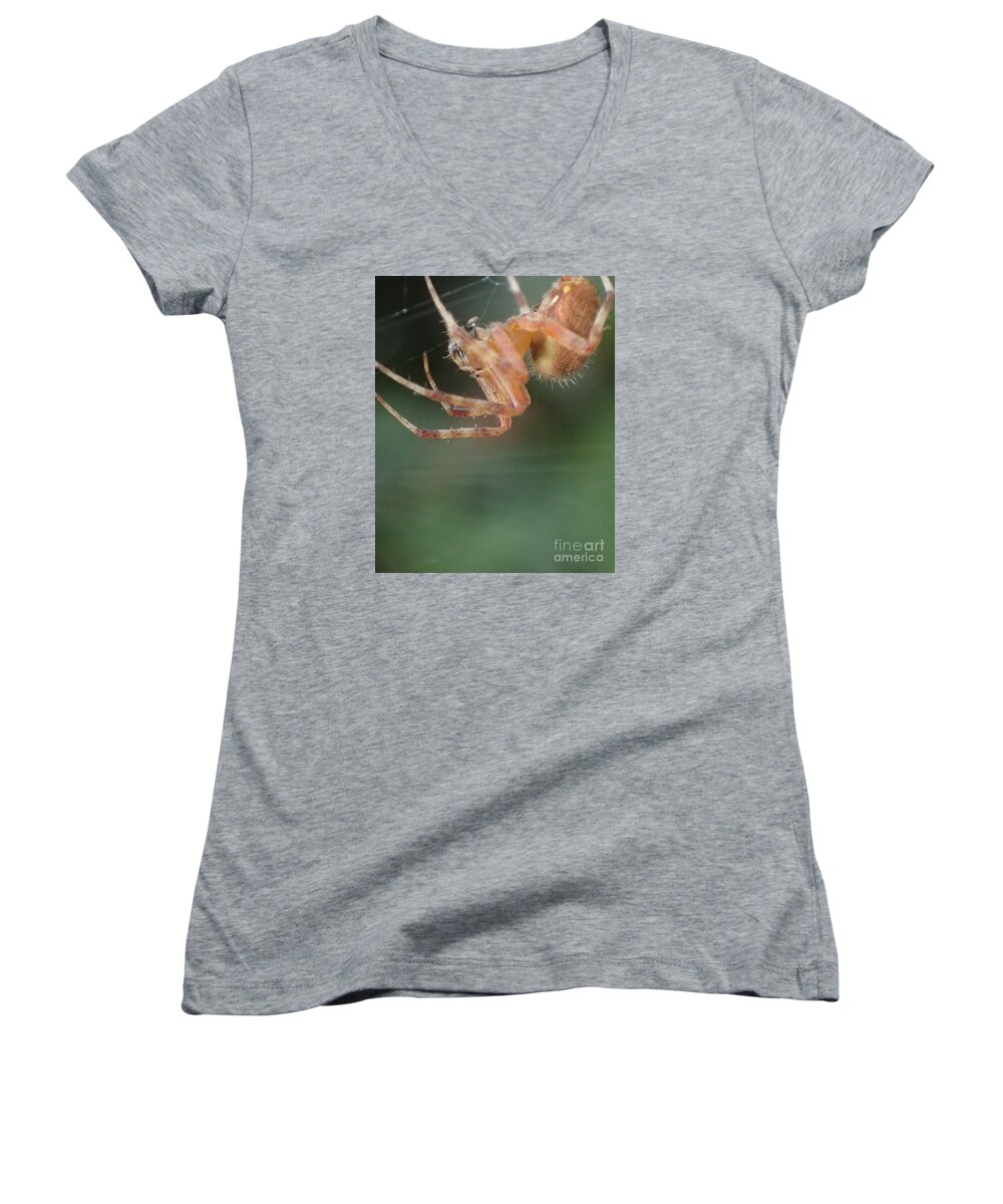 Nature Women's V-Neck featuring the photograph Hanging Spider by Christina Verdgeline