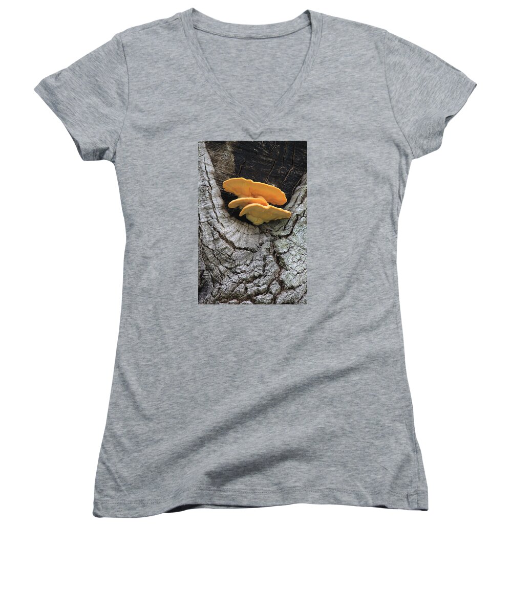 Photograph; Giclee Women's V-Neck featuring the photograph Happy Fungi by Suzanne Gaff