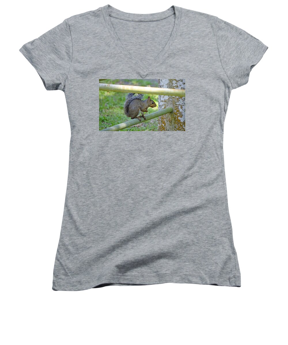 Squirrel Women's V-Neck featuring the photograph Happy Squirrel by Kenneth Albin
