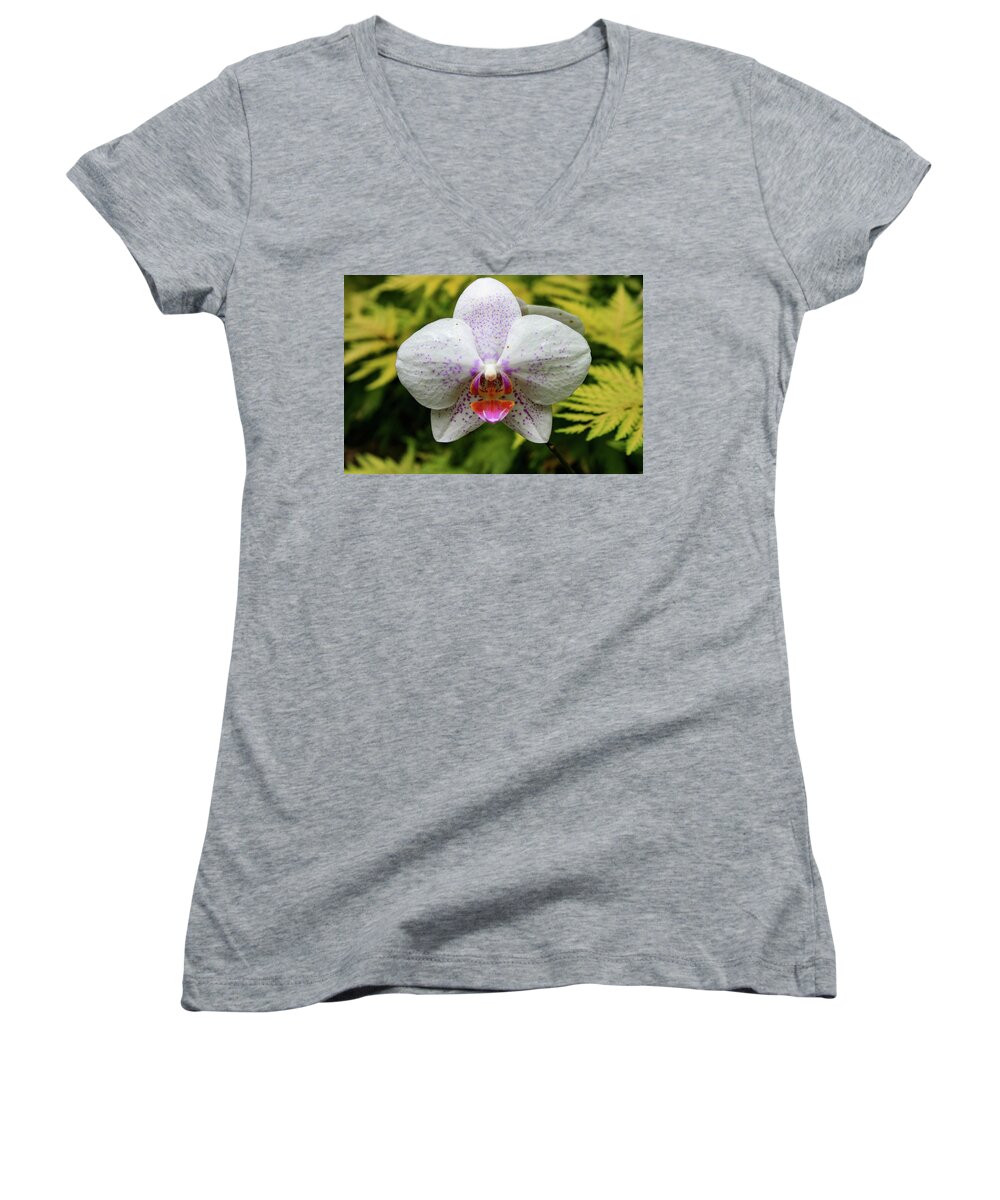 Orchid Women's V-Neck featuring the photograph Hawaii Orchid 1 by Matt Sexton