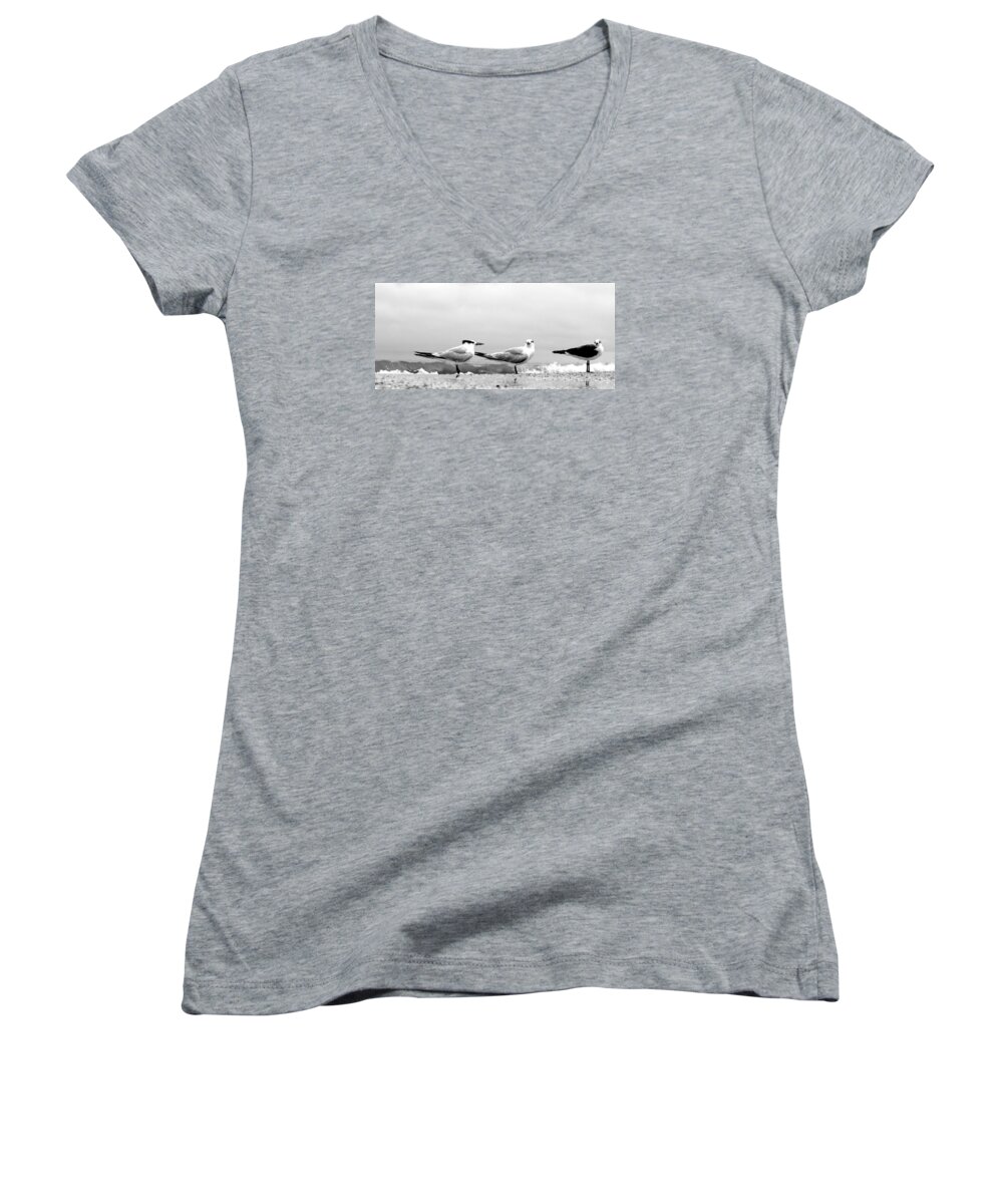 Tern Women's V-Neck featuring the photograph Heads Turned by David Ralph Johnson