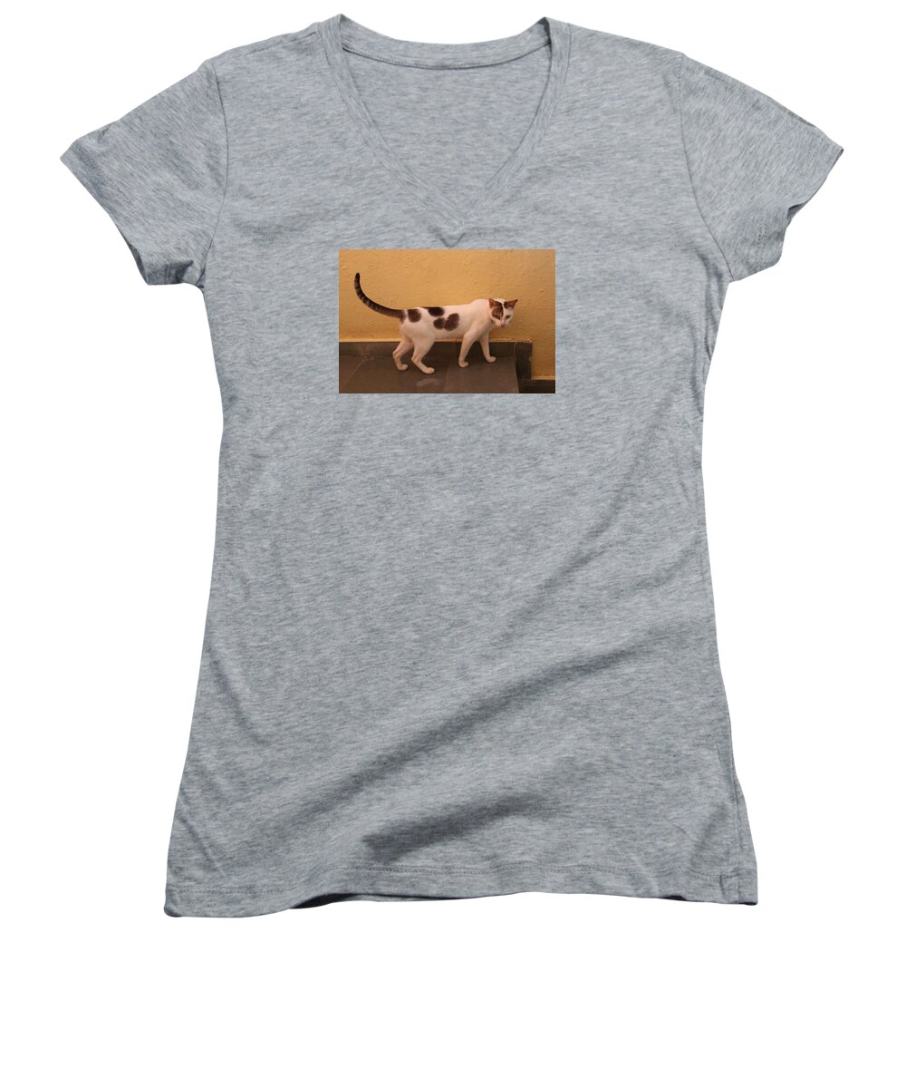Cat Women's V-Neck featuring the photograph Heart Cat at Rosie's in Ganeshpuri by Jennifer Mazzucco