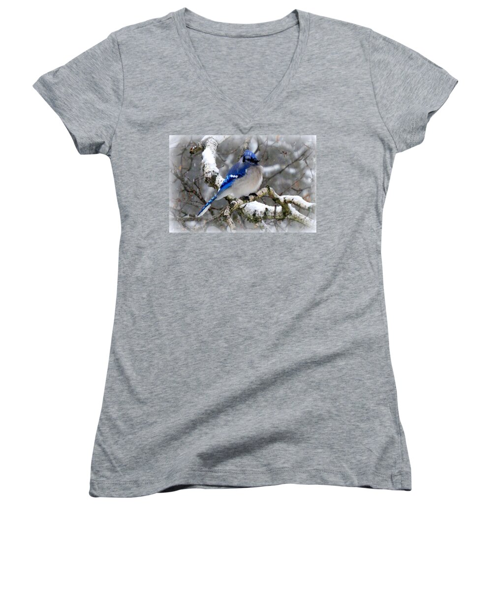 Blue Jay Women's V-Neck featuring the photograph Hello There Big Boy by Suzanne DeGeorge