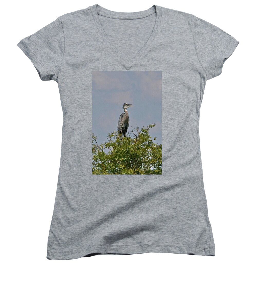 Heron Women's V-Neck featuring the photograph Heron Sitting in Tree by Carol Bradley