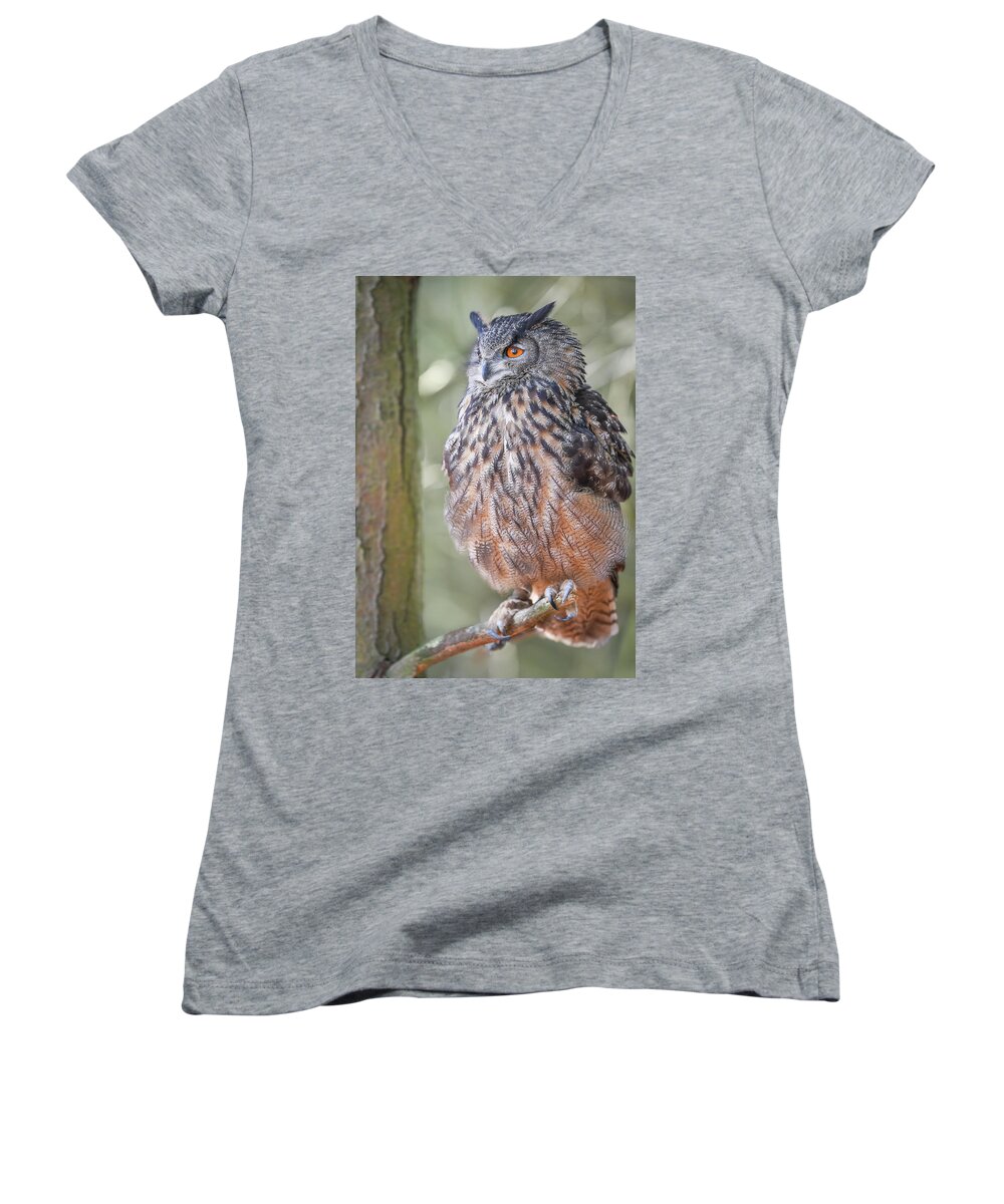 Ontario Women's V-Neck featuring the photograph Hiding in the trees by Ian Sempowski