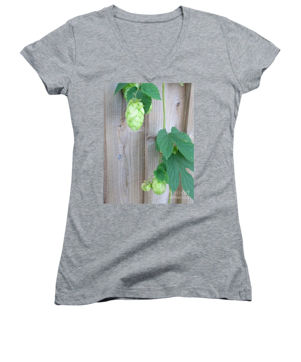 Hops Plant Women's V-Neck featuring the photograph Hops on Fence by Bev Conover