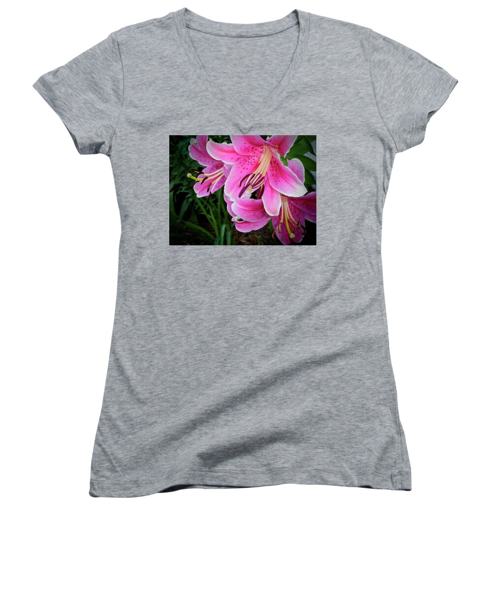 Flora Women's V-Neck featuring the photograph Star Gazer by Dave Bosse