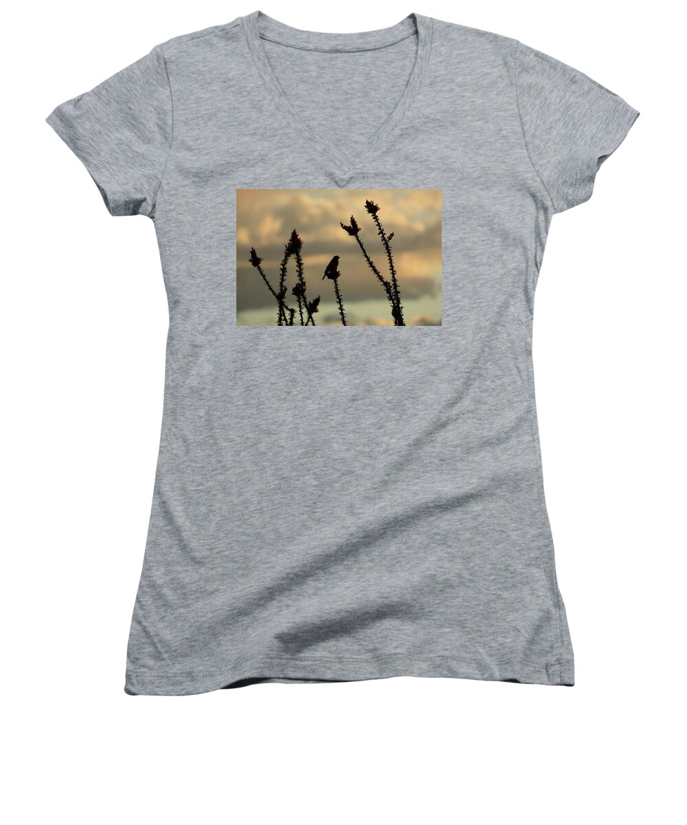 House Women's V-Neck featuring the photograph House Finch by David Diaz
