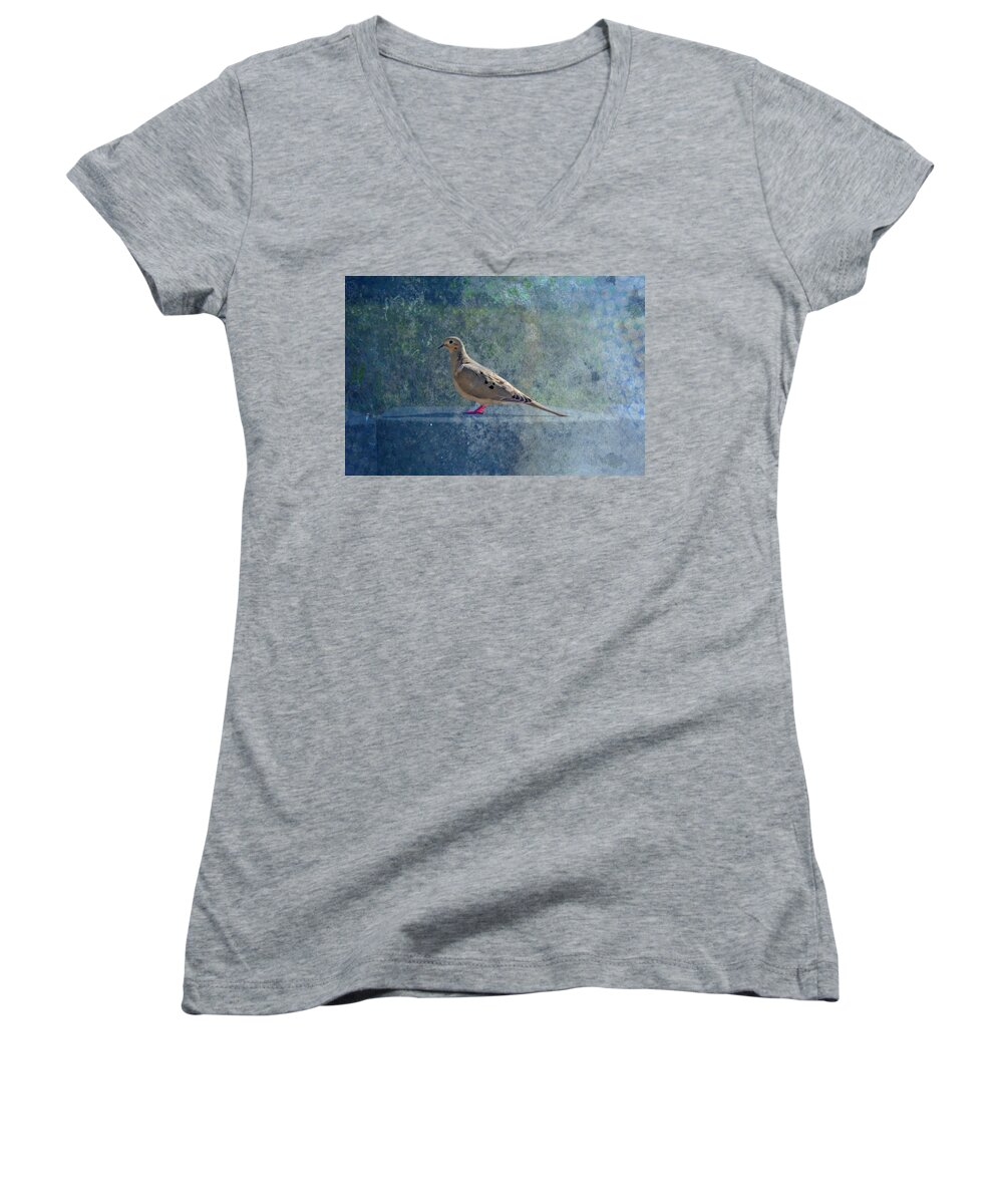 Dove Women's V-Neck featuring the photograph How Can You Just Leave Me Standing by Alison Frank