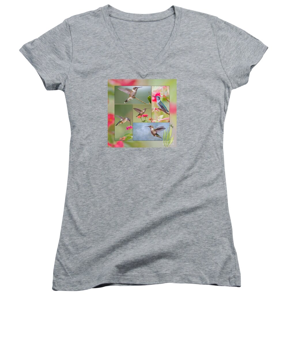 Hummingbird Collage Women's V-Neck featuring the photograph Hummingbird Collage by Bonnie Barry