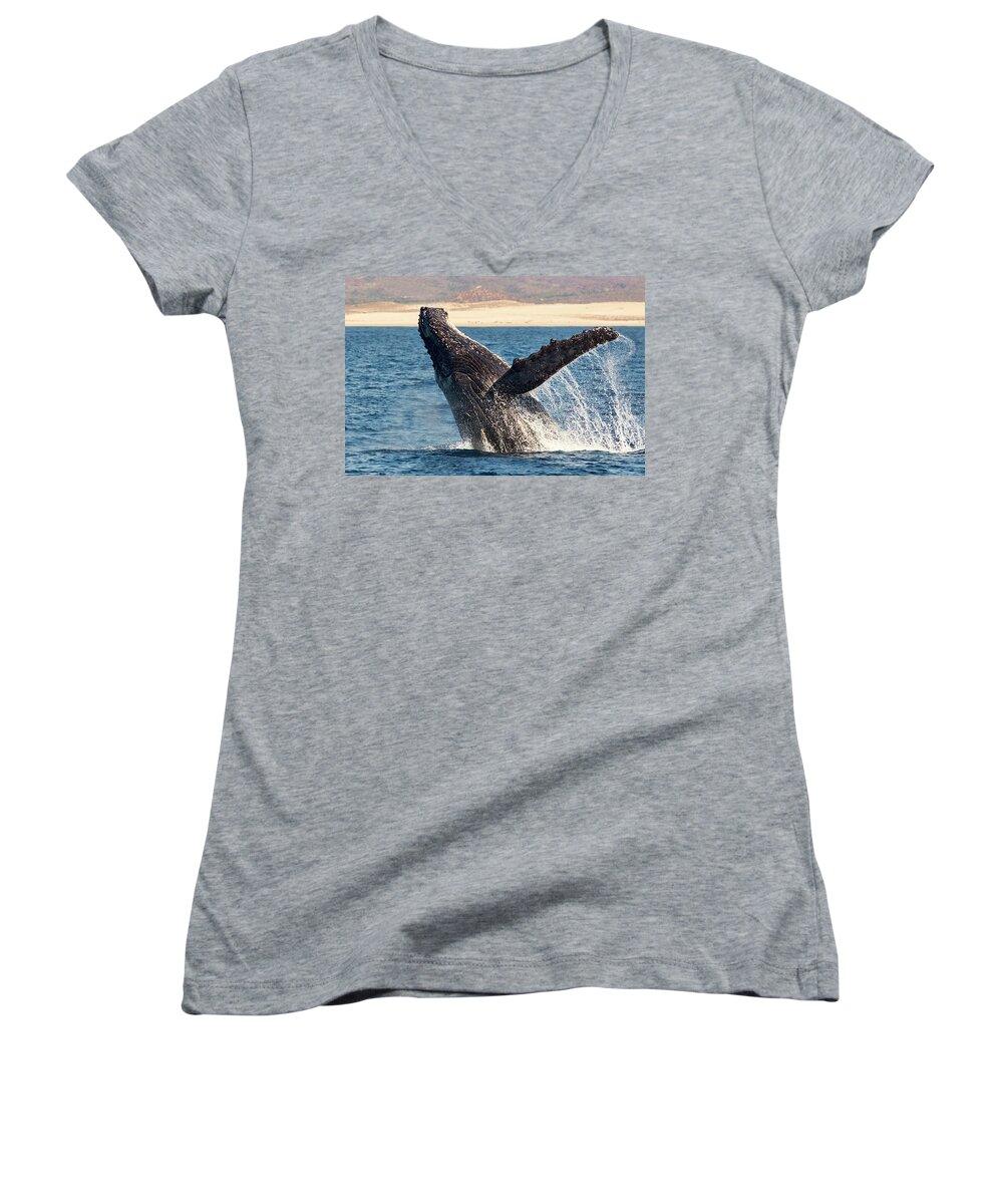 Whale Humpback Whale Women's V-Neck featuring the photograph Humpback Whale Breaching by Mark Harrington