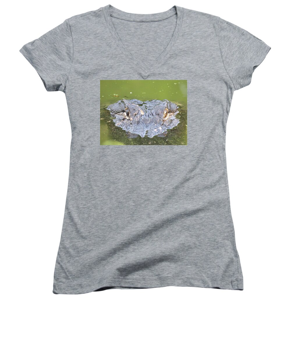 Orcinus Fotograffy Women's V-Neck featuring the photograph Hunters Stare by Kimo Fernandez